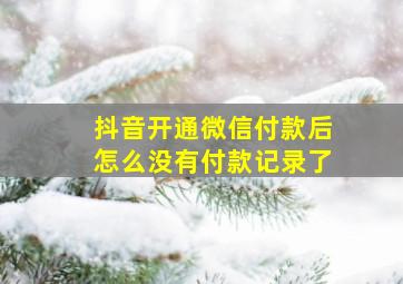 抖音开通微信付款后怎么没有付款记录了