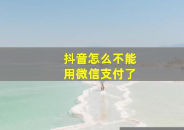 抖音怎么不能用微信支付了