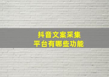 抖音文案采集平台有哪些功能