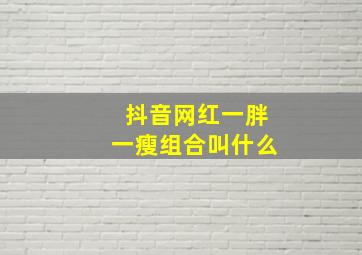 抖音网红一胖一瘦组合叫什么