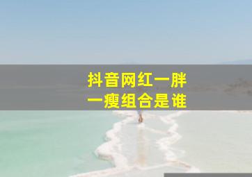 抖音网红一胖一瘦组合是谁