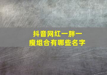 抖音网红一胖一瘦组合有哪些名字