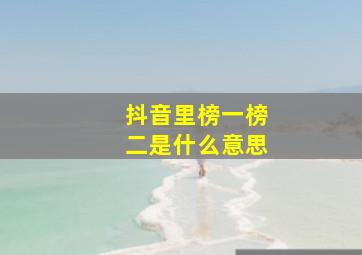 抖音里榜一榜二是什么意思