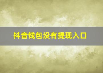 抖音钱包没有提现入口