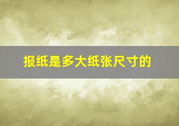 报纸是多大纸张尺寸的