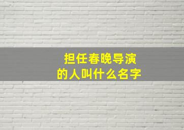 担任春晚导演的人叫什么名字