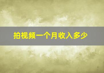 拍视频一个月收入多少