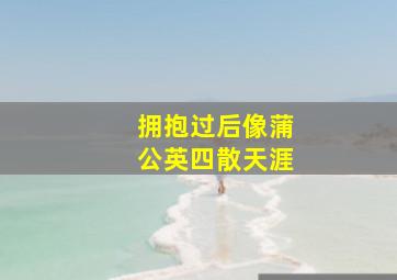 拥抱过后像蒲公英四散天涯