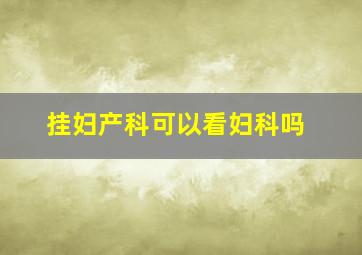 挂妇产科可以看妇科吗