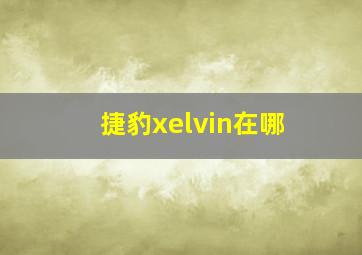 捷豹xelvin在哪