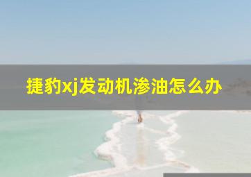 捷豹xj发动机渗油怎么办