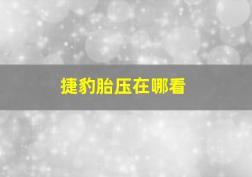 捷豹胎压在哪看