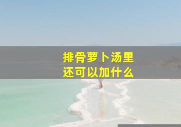 排骨萝卜汤里还可以加什么