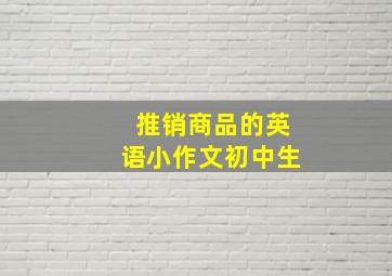 推销商品的英语小作文初中生