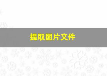 提取图片文件