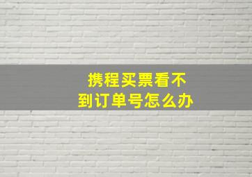 携程买票看不到订单号怎么办