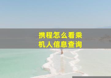 携程怎么看乘机人信息查询