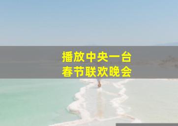 播放中央一台春节联欢晚会