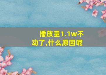 播放量1.1w不动了,什么原因呢