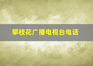 攀枝花广播电视台电话