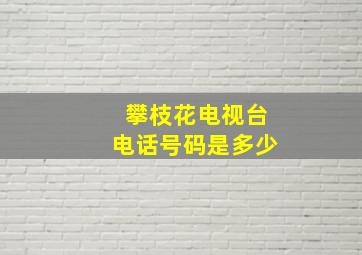 攀枝花电视台电话号码是多少