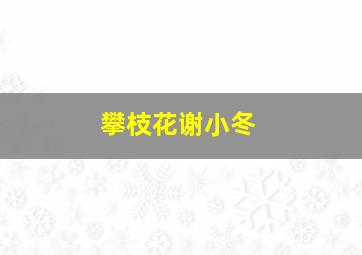 攀枝花谢小冬