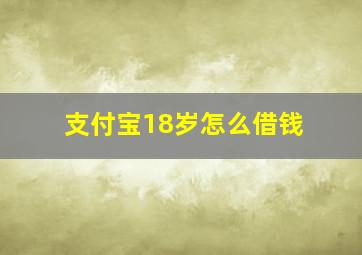 支付宝18岁怎么借钱