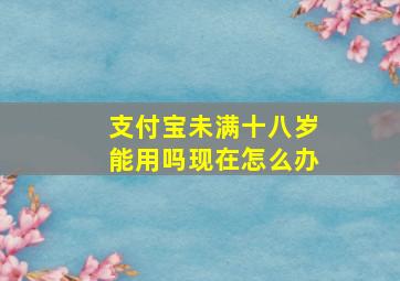 支付宝未满十八岁能用吗现在怎么办