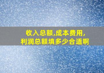 收入总额,成本费用,利润总额填多少合适啊