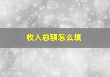 收入总额怎么填