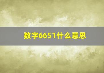 数字6651什么意思