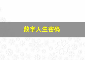 数字人生密码