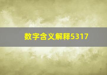 数字含义解释5317