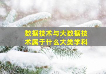 数据技术与大数据技术属于什么大类学科