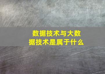 数据技术与大数据技术是属于什么