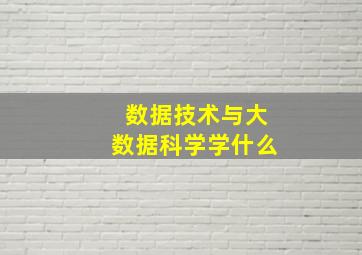 数据技术与大数据科学学什么