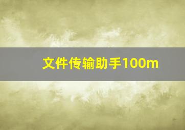 文件传输助手100m