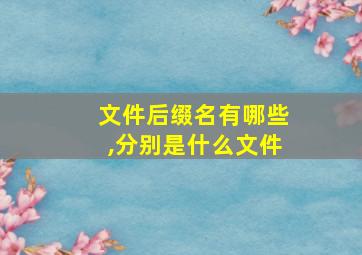 文件后缀名有哪些,分别是什么文件