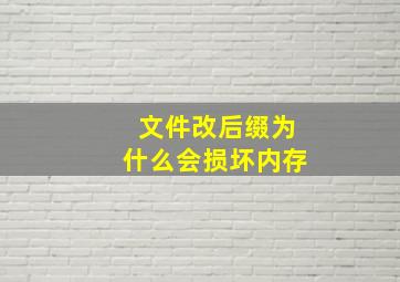 文件改后缀为什么会损坏内存