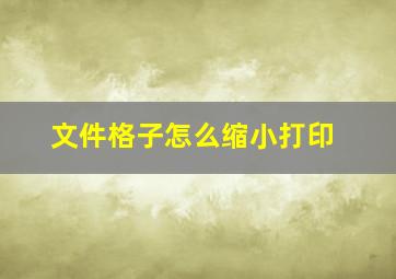 文件格子怎么缩小打印