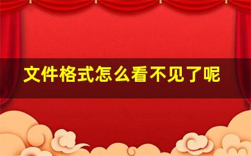 文件格式怎么看不见了呢