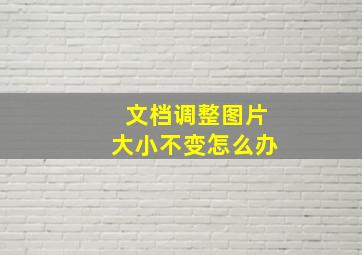 文档调整图片大小不变怎么办