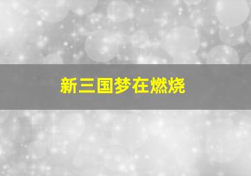 新三国梦在燃烧