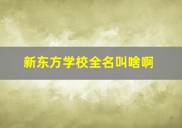 新东方学校全名叫啥啊