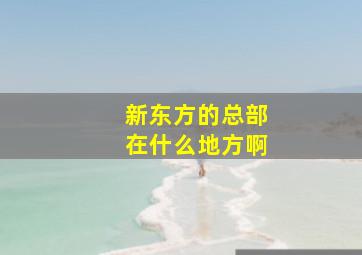 新东方的总部在什么地方啊