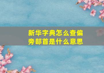 新华字典怎么查偏旁部首是什么意思