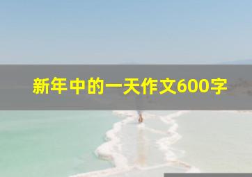 新年中的一天作文600字