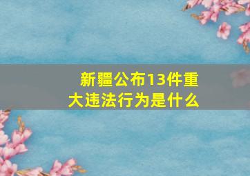 新疆公布13件重大违法行为是什么