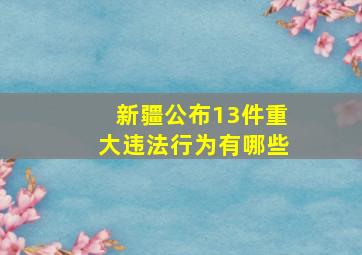 新疆公布13件重大违法行为有哪些