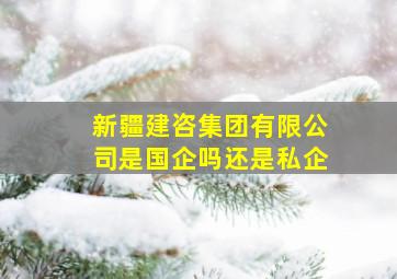 新疆建咨集团有限公司是国企吗还是私企